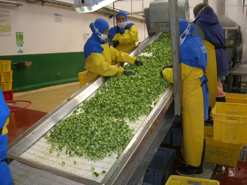 分揀輸送機(jī)