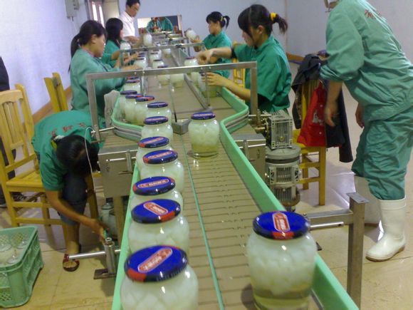 鏈板輸送機(jī)的優(yōu)點(diǎn)及發(fā)展趨勢分析